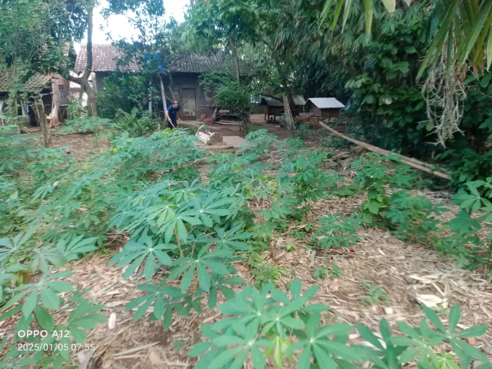 Di jual Tanah kosong luas 221 meter persegi surat ajb