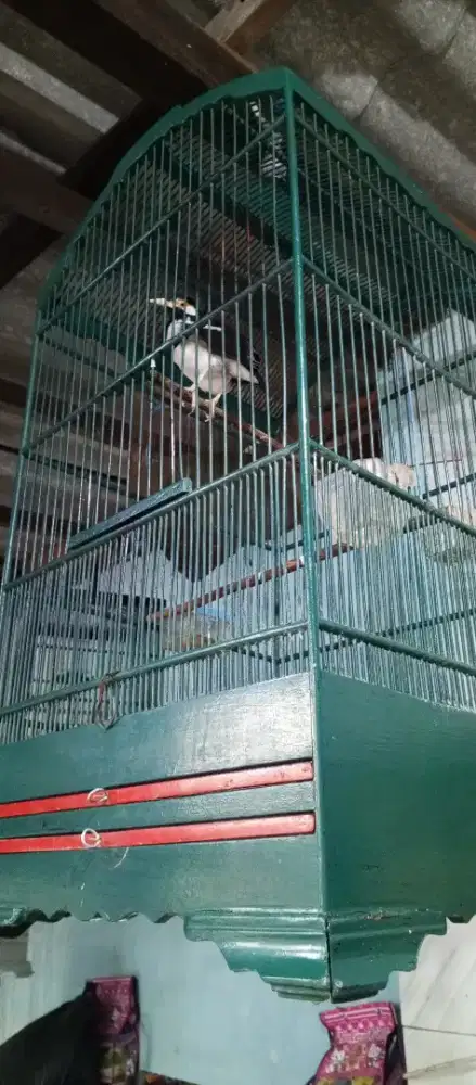 Dijual sangkar kohsan papan lebar masih mulus