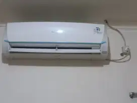 Ac sharp  1/2 PK