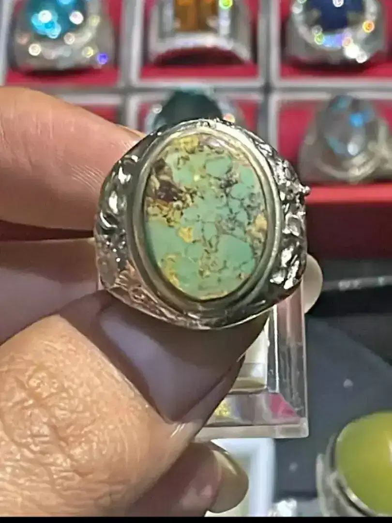 Pirus persia oke