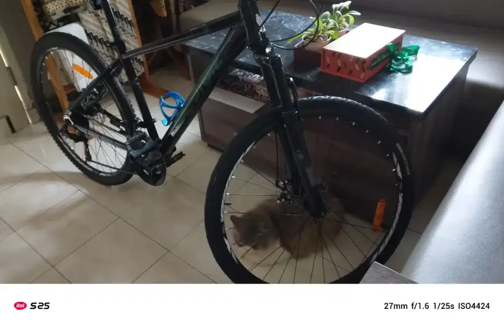 MTB Gravel Element O8564 O755789