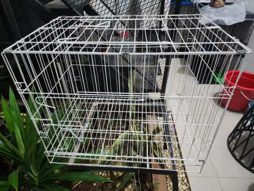 Dijual Kandang kucing (NEGO SAMPAI JADI)