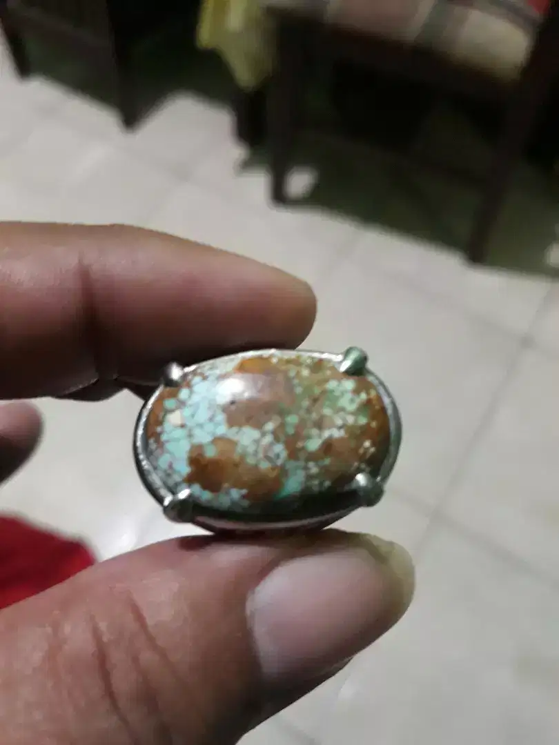 Pirus persia oke punya
