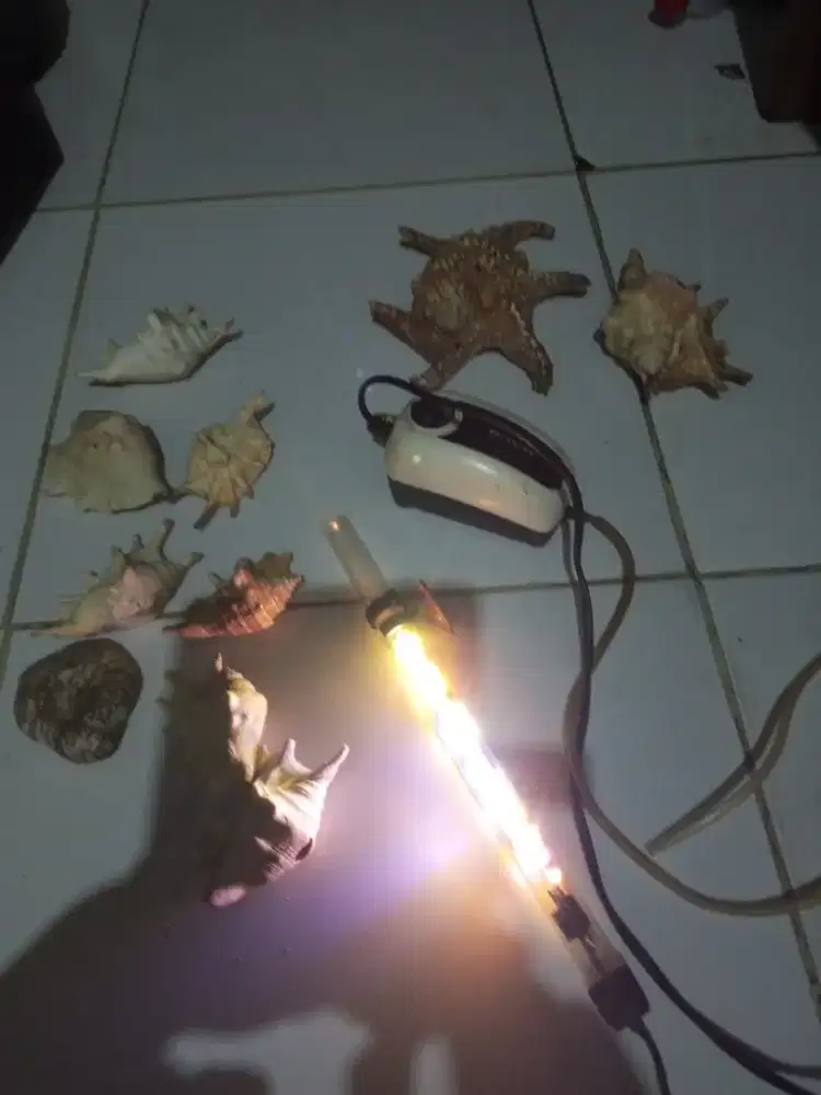 Aerator lampu aquarium hiasan aquarium Rp.75rb net