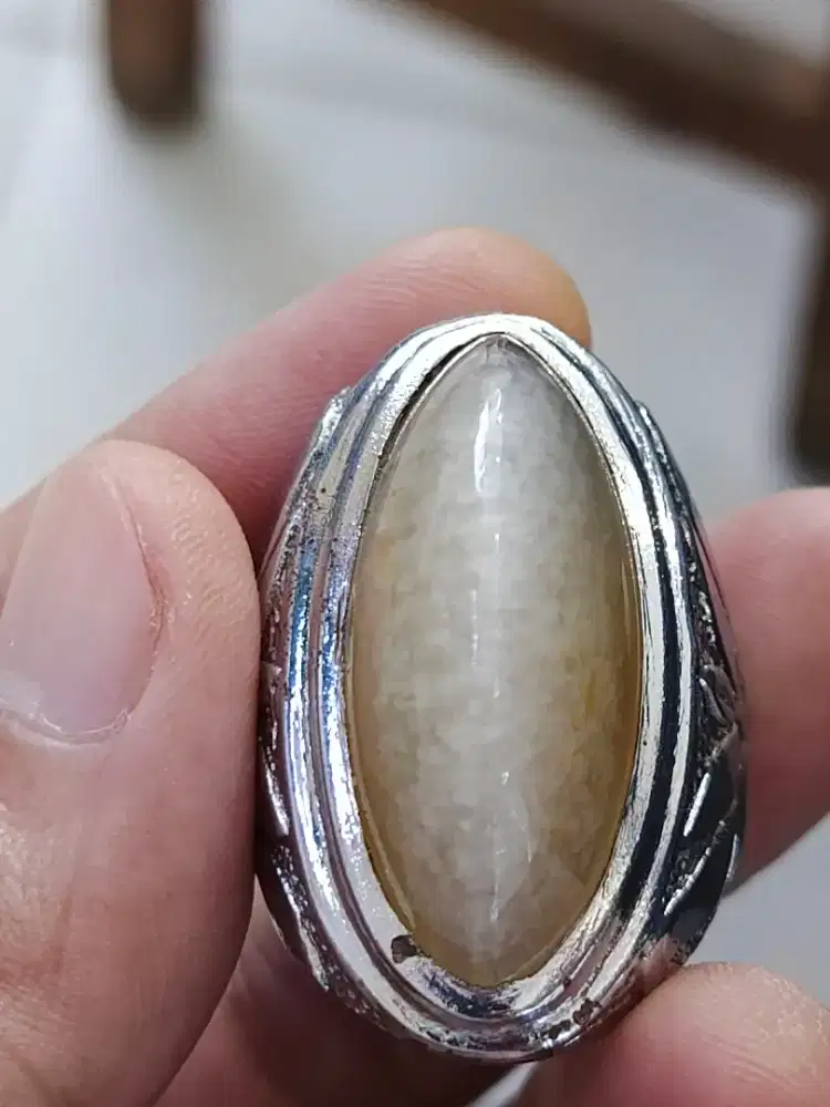 Pandan lawas sisik grepes,,