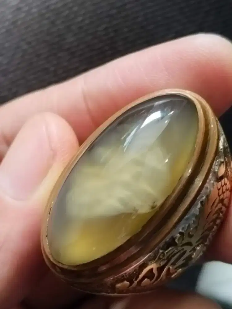 Pandan lumut sisik ngambang