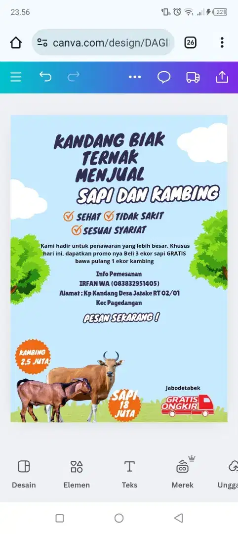 Jual Sapi & Kambing