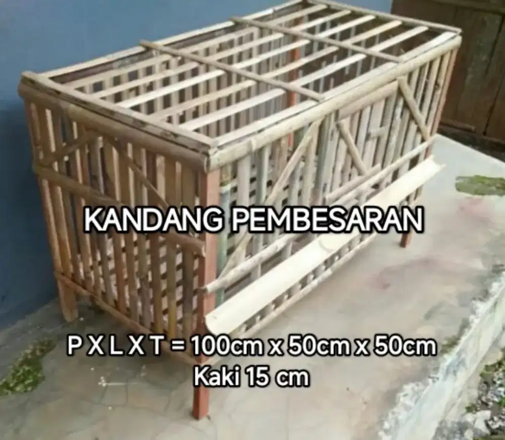 Kandang pembesaran untuk ayam