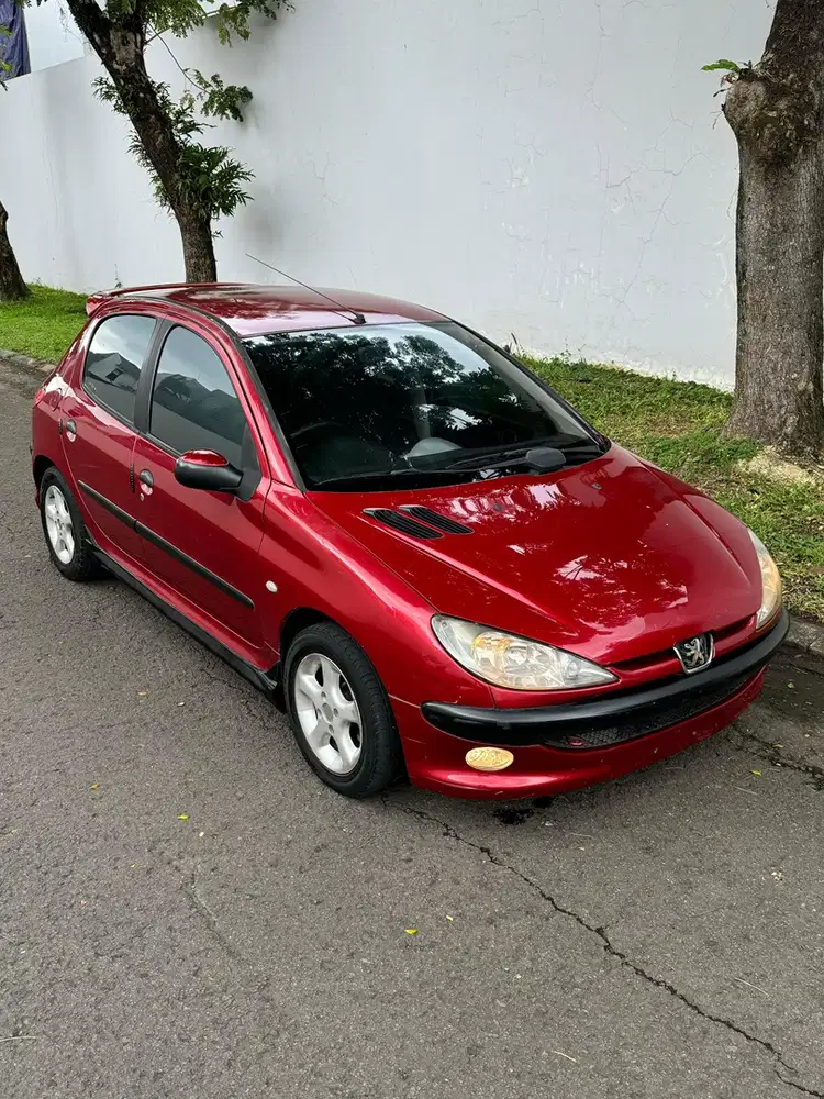 Peugeot 206 XS 1.4 MT Last Edition