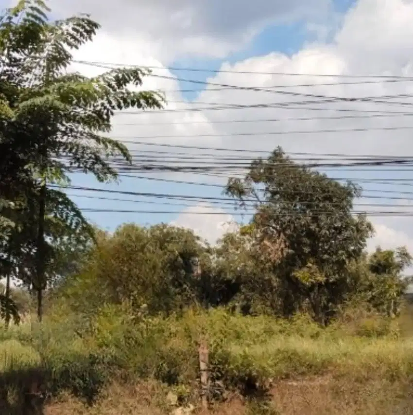 Dijual Tanah Lokasi strategis pinggir jalan di Cibarusa,Cikarang
