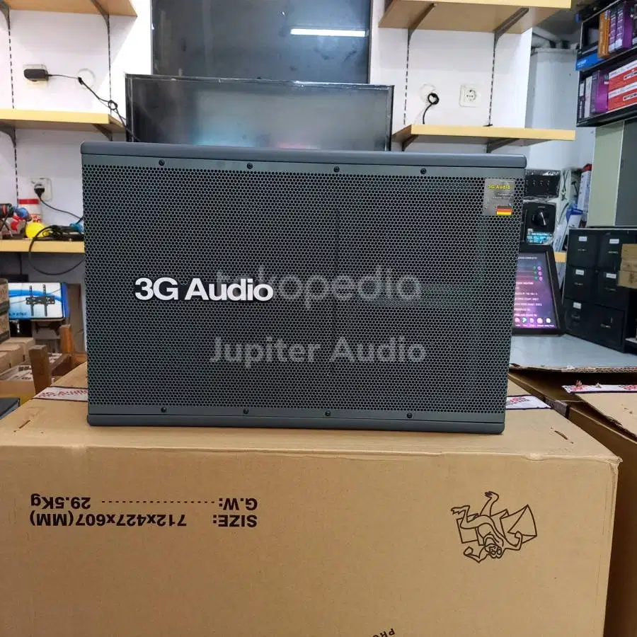 Speaker Pasif 10 inch 3G Audio G 320 G320 sepasang