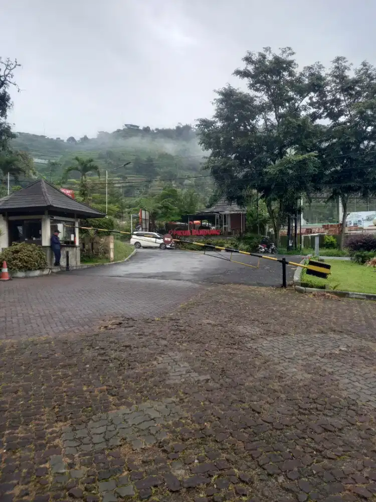 Di cari art dan pengasuh anak