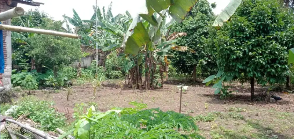 Dijual Tanah 1050 M2 SHM di Purwokerto harga 2,5 Milyar