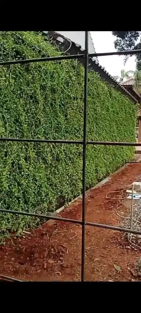 partikel garden likwanyu dan tanaman hias