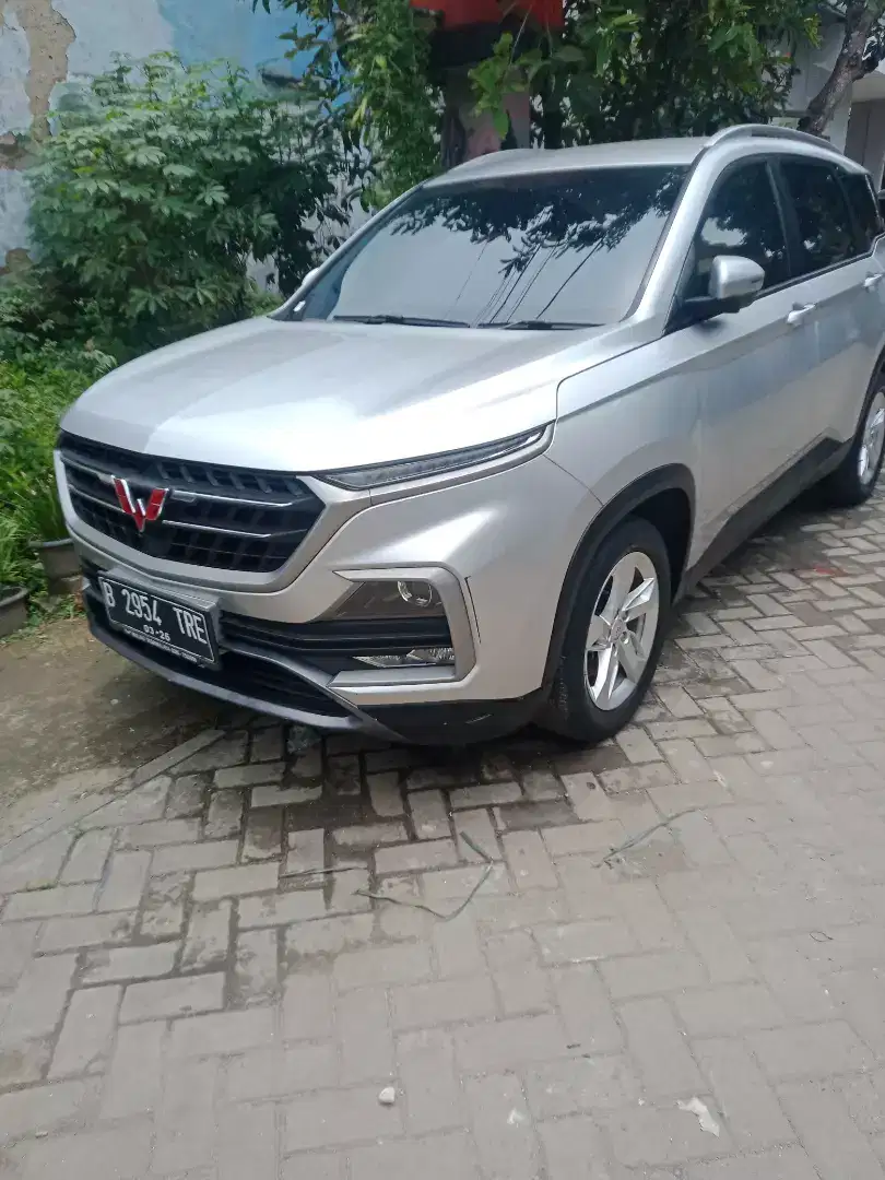 Wulling almaz l 1.5 cc