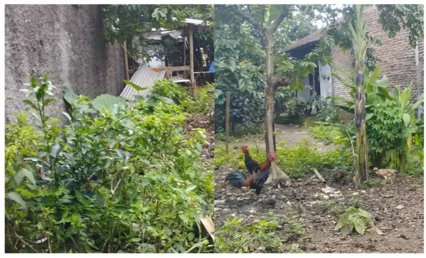 Jual tanah kapling