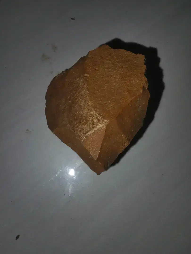 Batu langka hutan