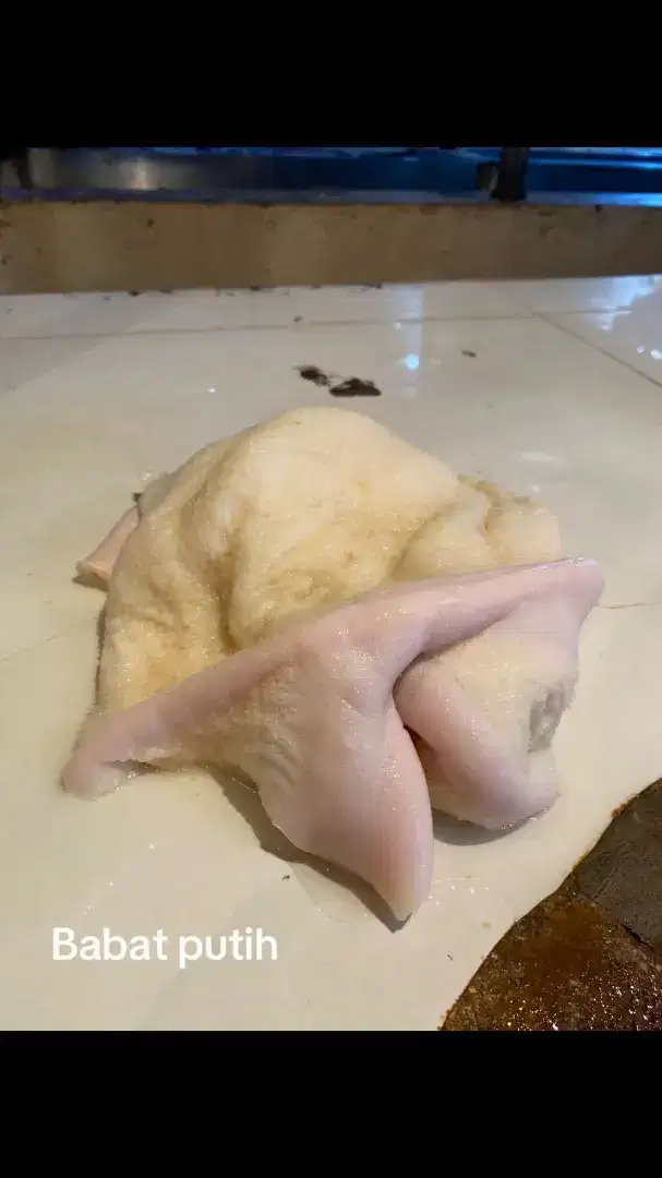 Babat putih sapi