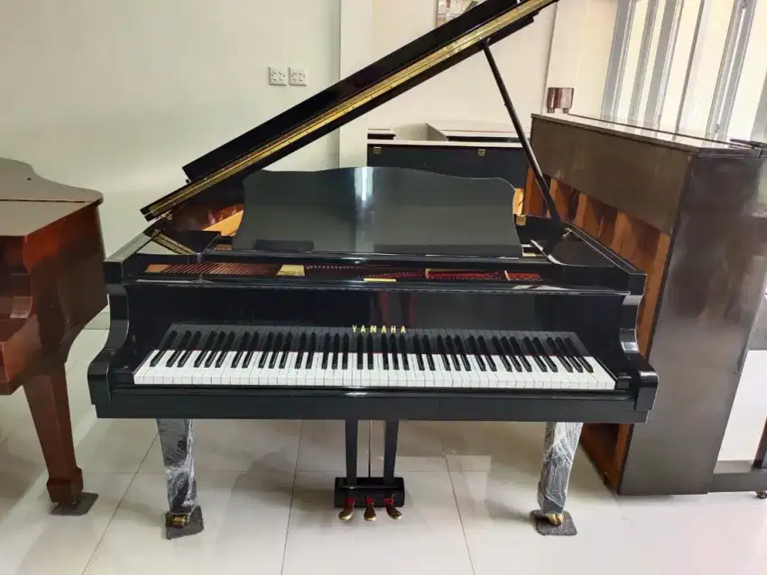 Grand Piano Yamaha C3 B seri Gold Pleate