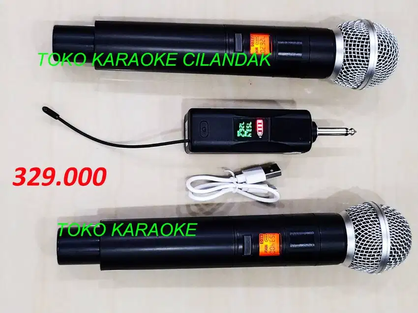 MICROPHONE WIRELESS SIMPLE 2MIC