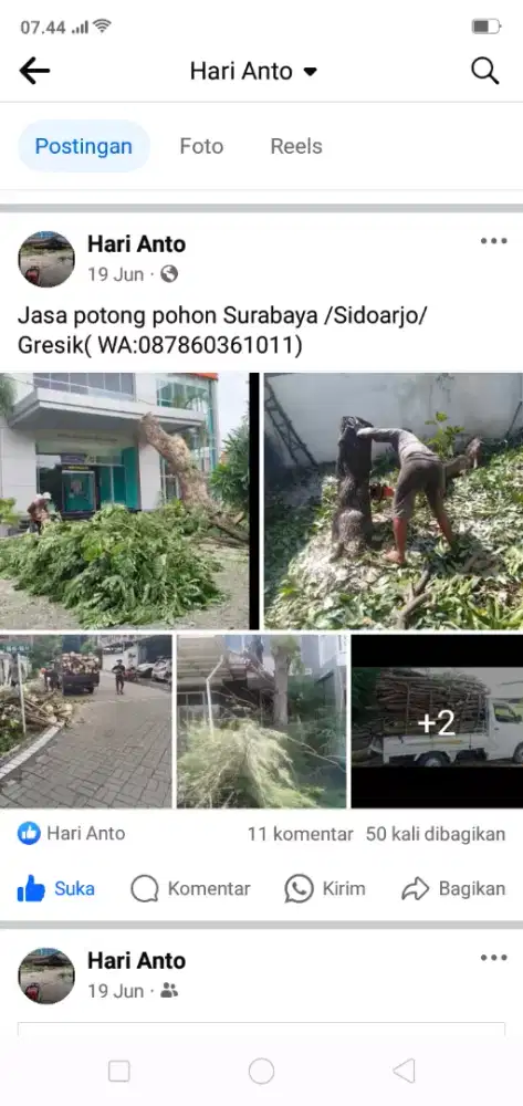 Jasa potong pohon Surabaya / Sidoarjo / gresik