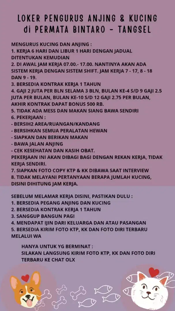 Pengurus Kucing dan Anjing