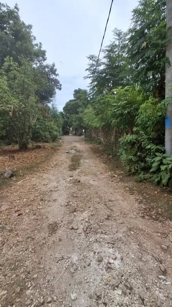 DI JUAL TANAH EXCLUSIVE DI JALAN KENCANA JIMBARAN , DKT PANTAI MUAYA