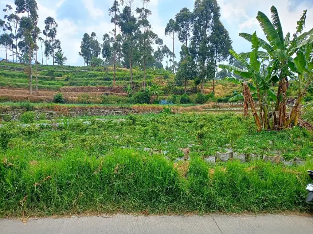 JUAL LAHAN KOSONG AREA WISATA CIWIDEY