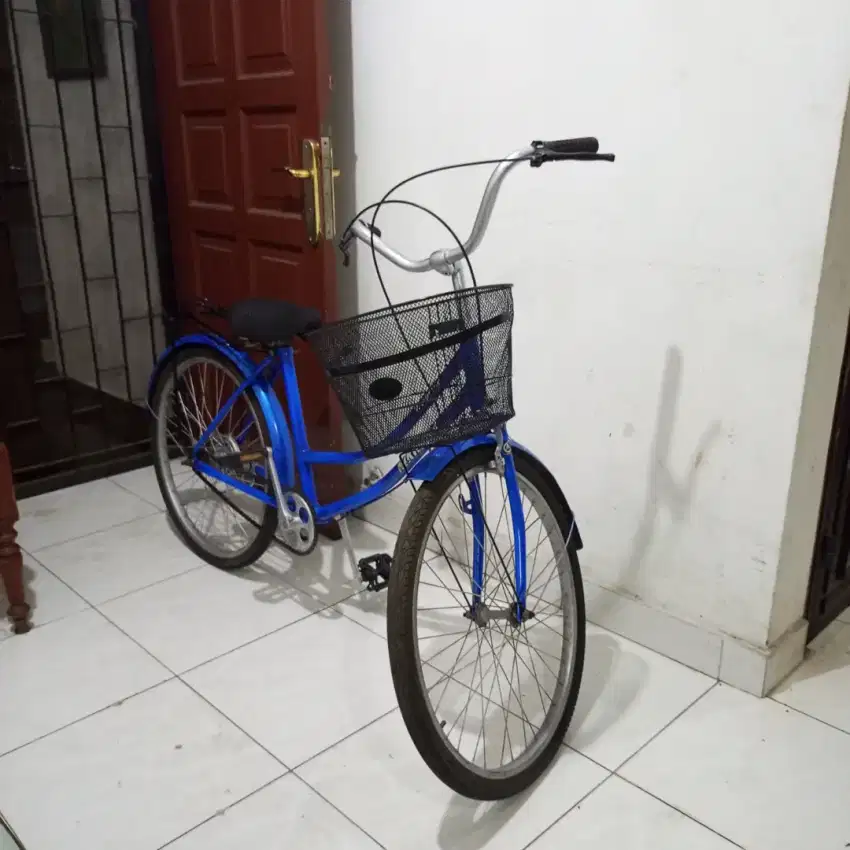 Sepeda remaja wanita