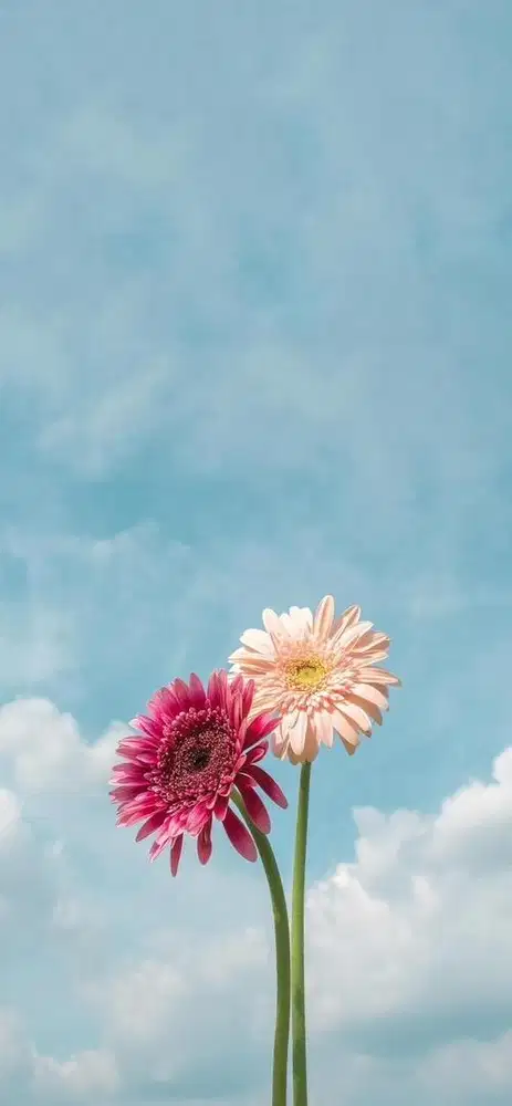 LOWONGAN ART (MENGINAP)