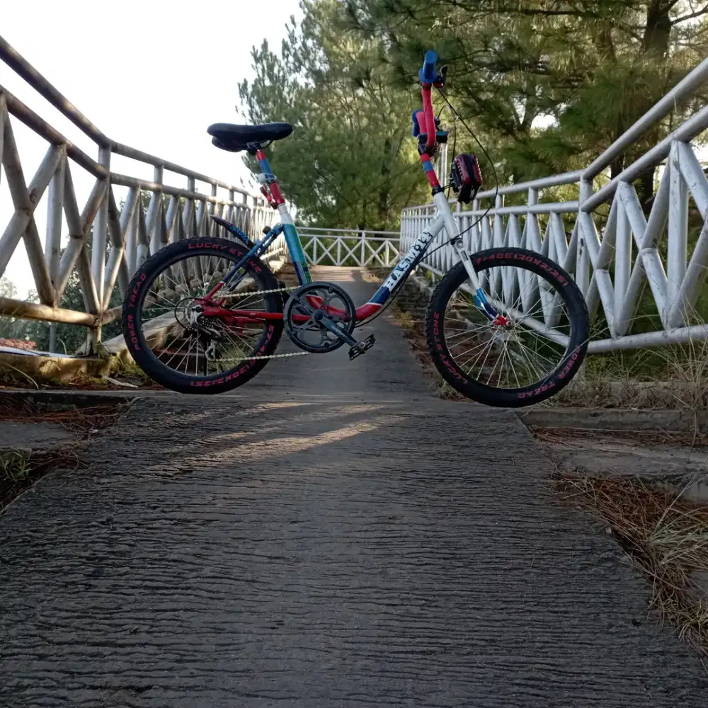 Dijual aja sepeda minion ukuran 20,jaya di masanya..