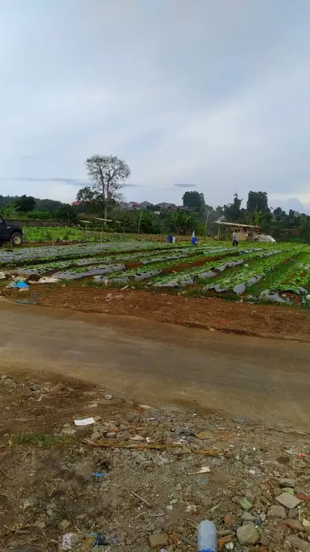 Tanah Strategis Di Sariwangi Mekarwangi Parongpong