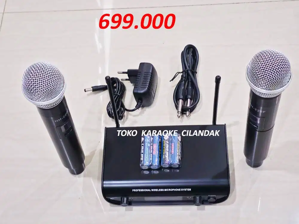 MICROPHONE WIRELESS 2 MIC