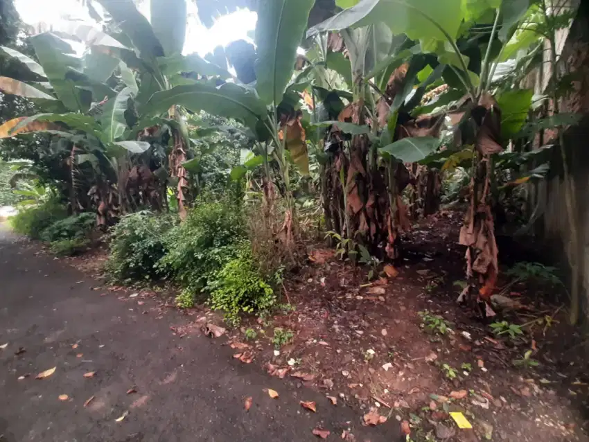 Tanah luas 600m2 SHM, samping bintaro jaya. Pondok Ranji