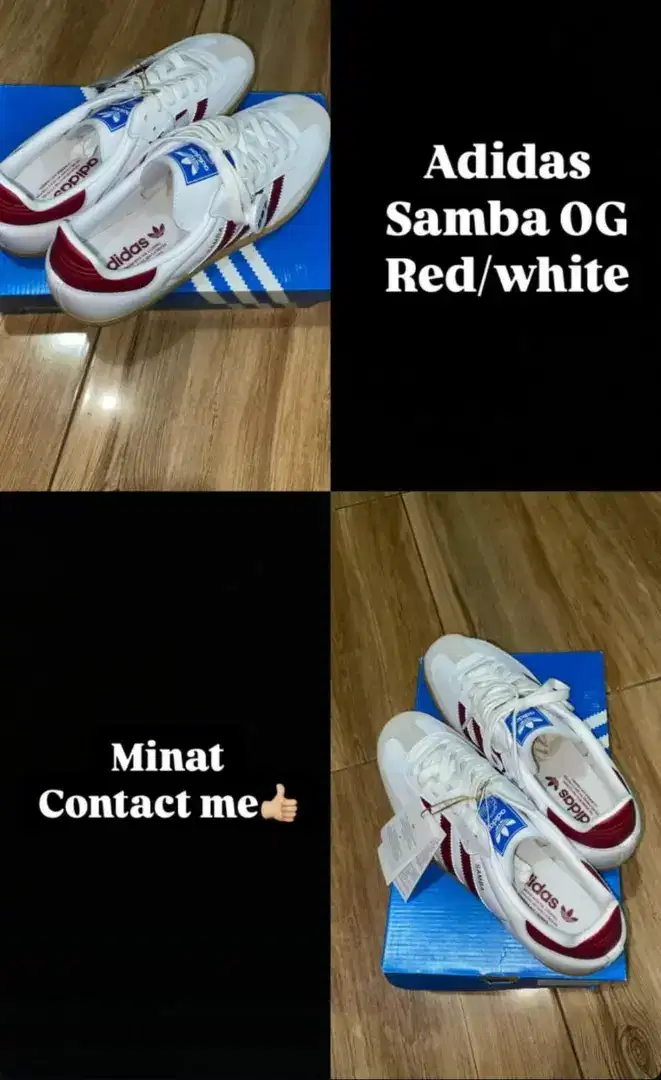 Adidas  samba OG baru bua box