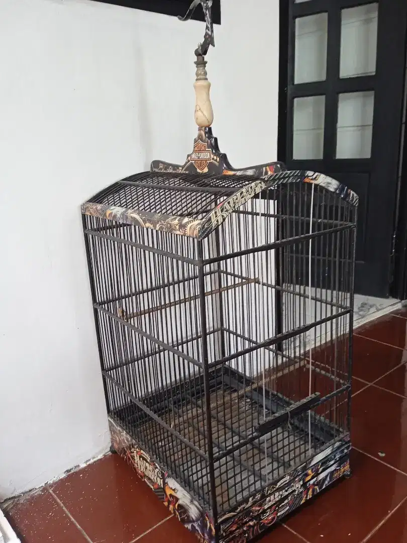 Sangkar kosan buat Loma lomba