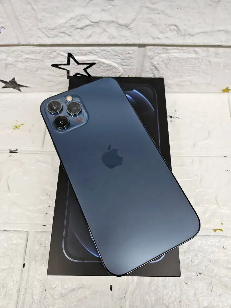 Iphone 12 pro max 512gb second resmi