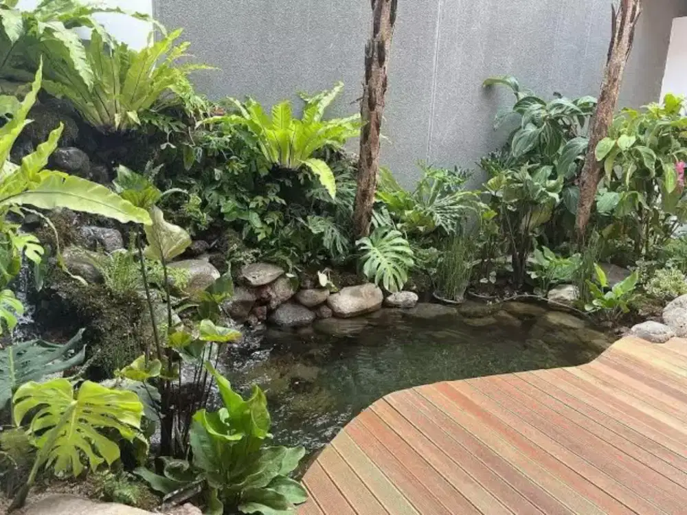 tukang kolam natuural pond