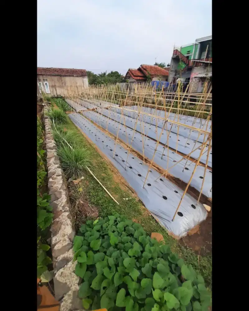 Di jual sebidang tanah 717 mtr harga permeter 750.000