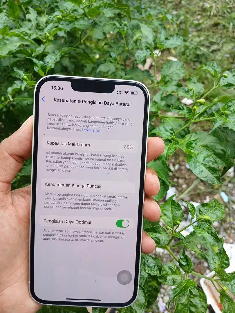Iphone 13 256 ex ibox