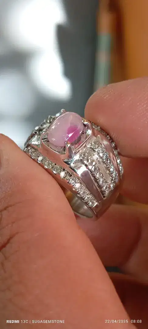 Bi color safir no heated memo belang koi