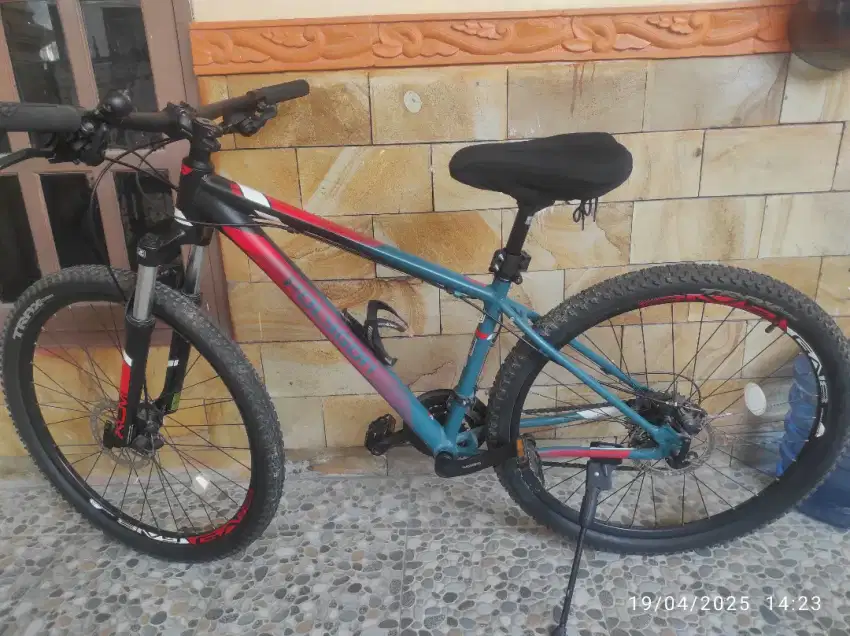 Sepeda MTB Polygon Cascade 4