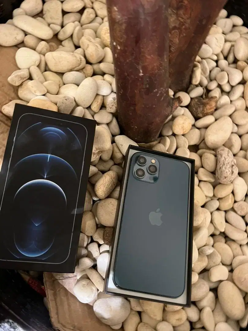 iphone 12 pro max 128gb langka masih new
