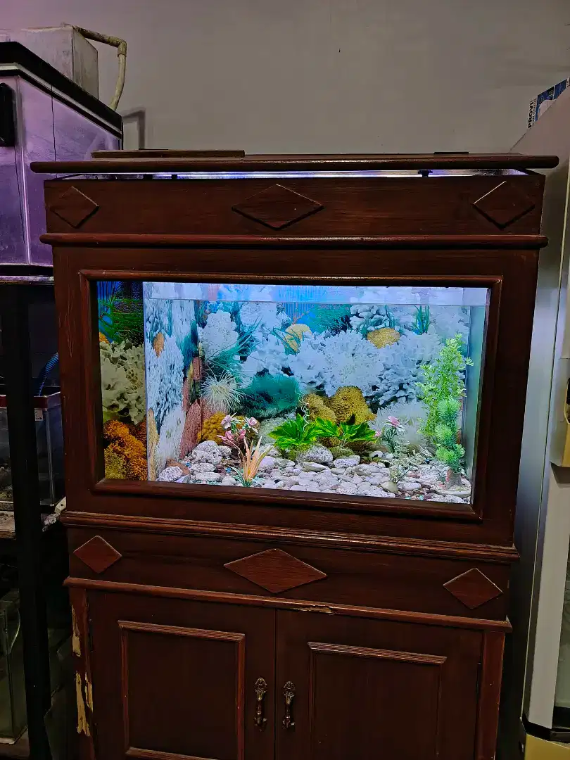 Aquarium kabinet kayu