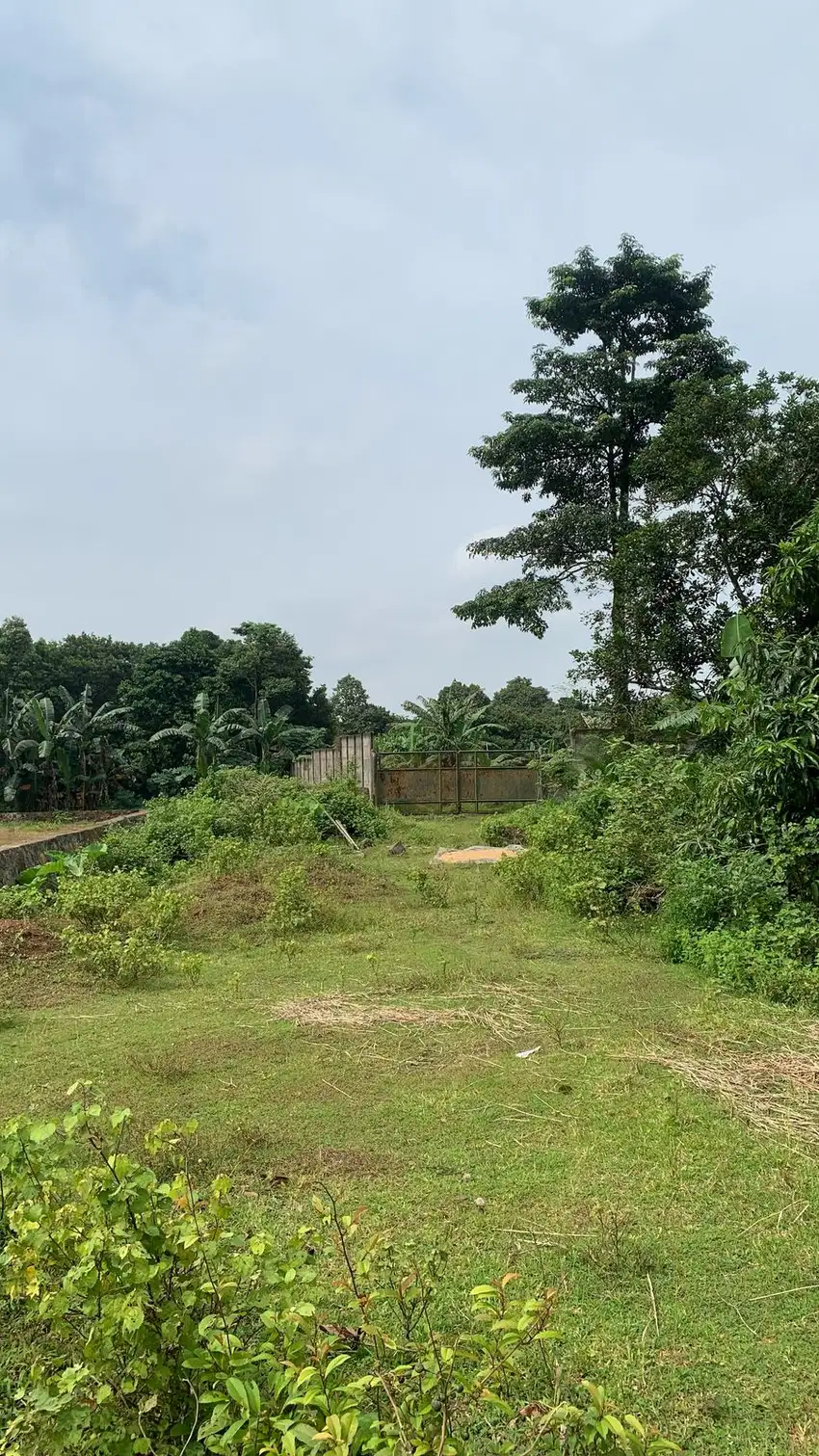 Tanah Strategis Untuk Bangun Cluster Di Cikeusal Serang