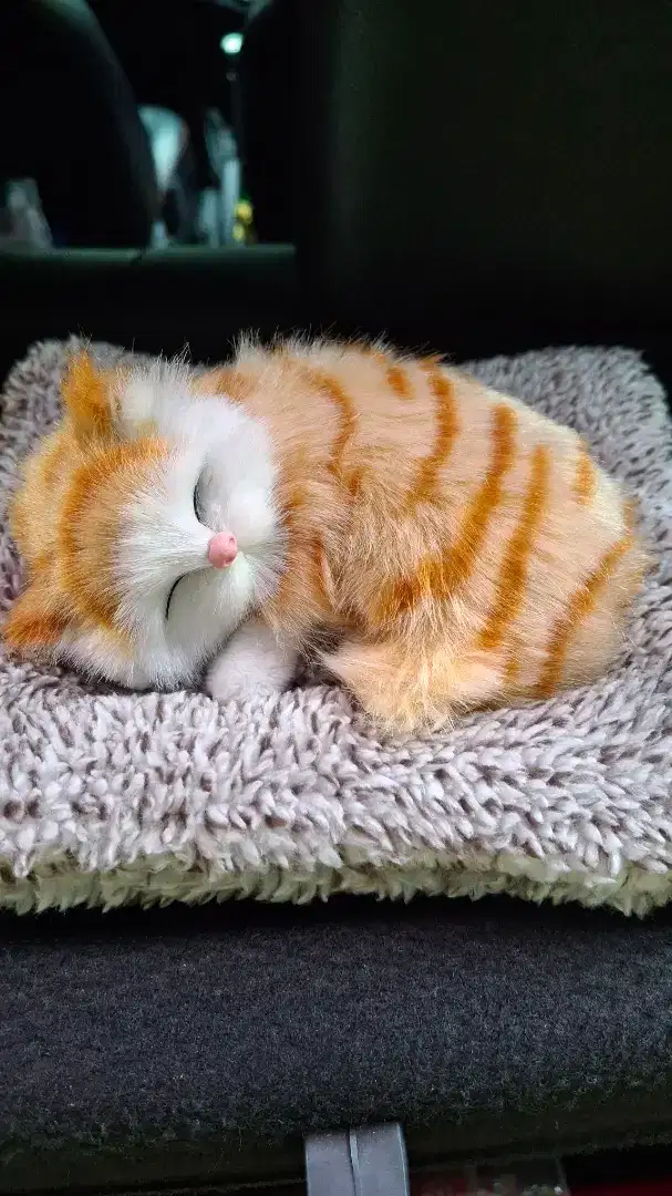 Boneka kucing lucu dan berbunyi