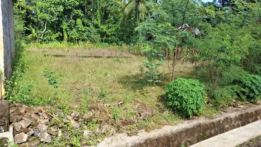 Tanah SHM Wonosari