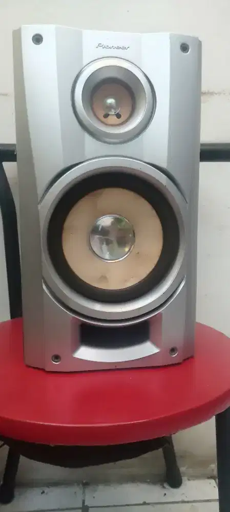 Speaker Pioneer