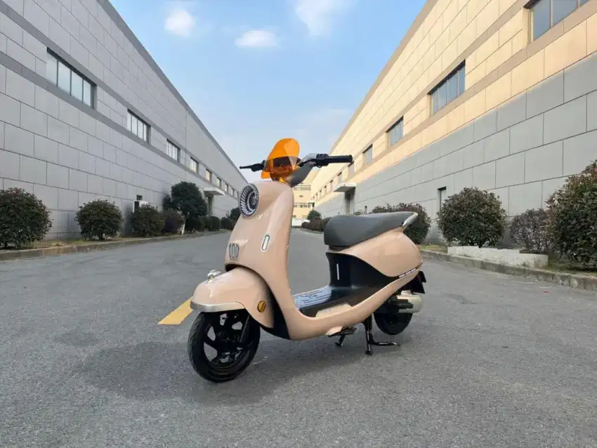 Sepeda listrik uwinfy T65 L