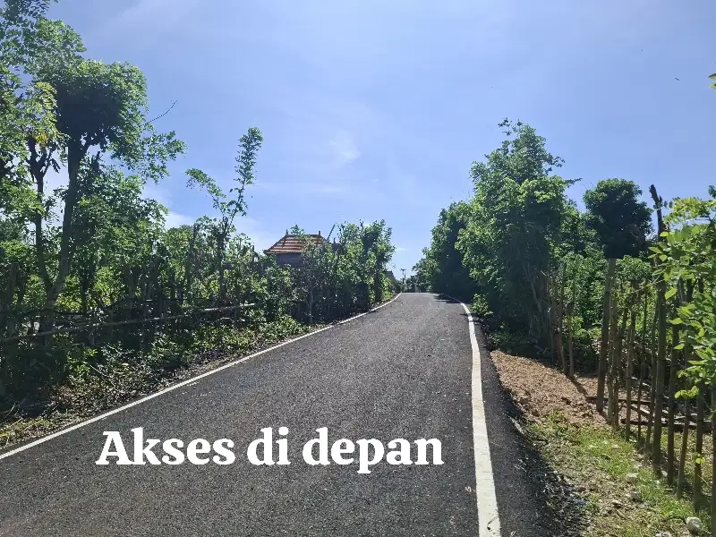Tanah 24 Are Belimbing Sari, Ungasan